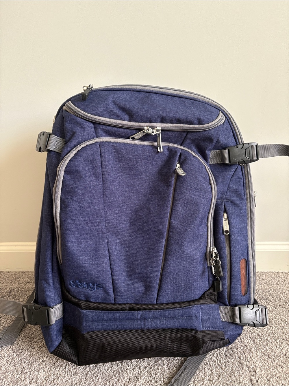 eBags Mother Lode Travel Backpack Convertible Expandable Luggage Bag